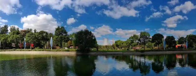 1641546386130289.png 1641546343(1).png