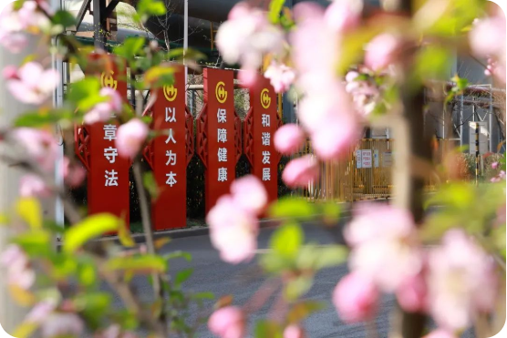 1650419113214716.png 1650419106(1).png