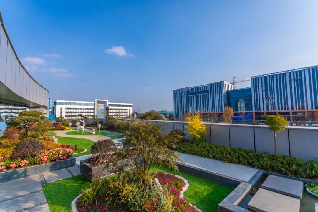 1655429616126716.jpg 03.jpg