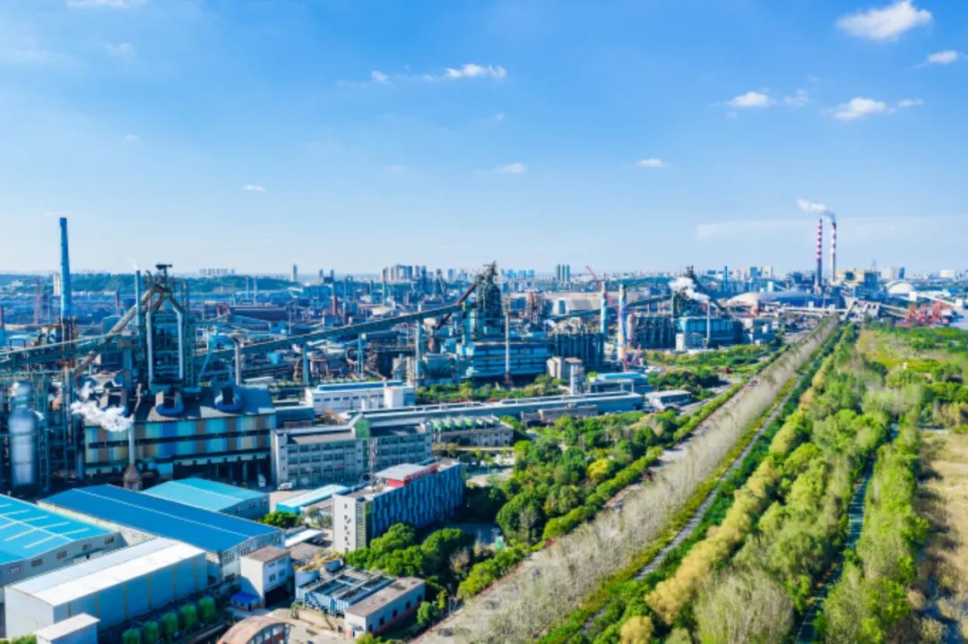 1655429632106241.jpg 04.jpg