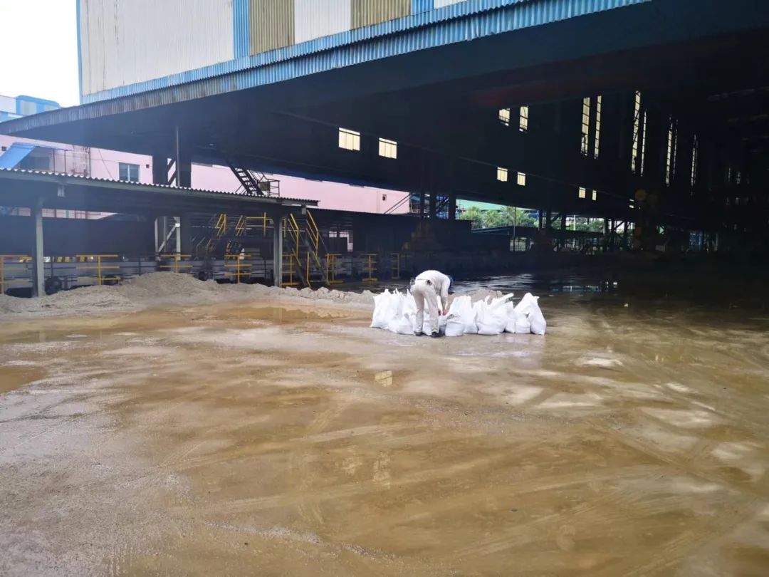 1655774516207446.jpg 09.jpg