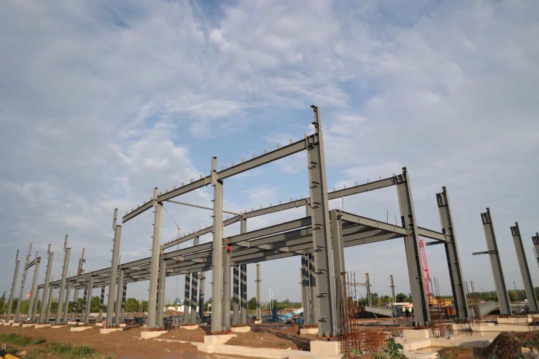 1661158790227526.jpg 03.jpg