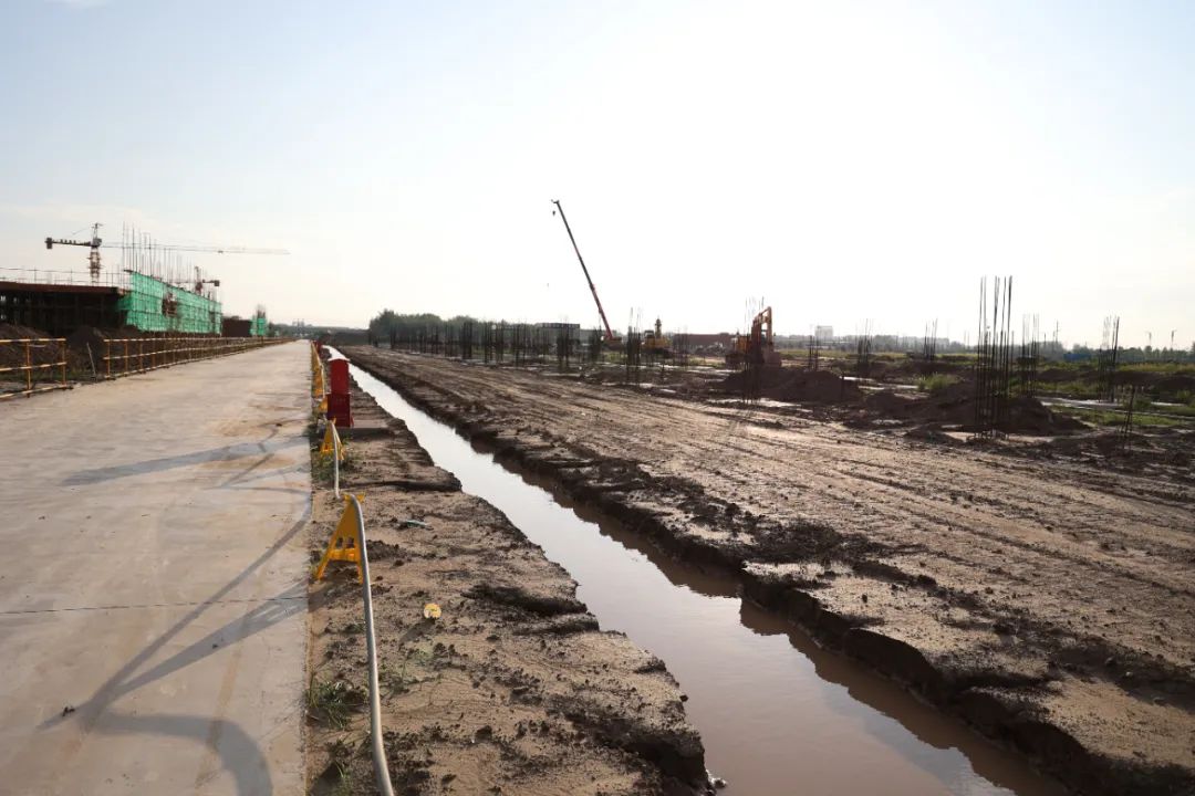 1661158798187736.jpg 04.jpg