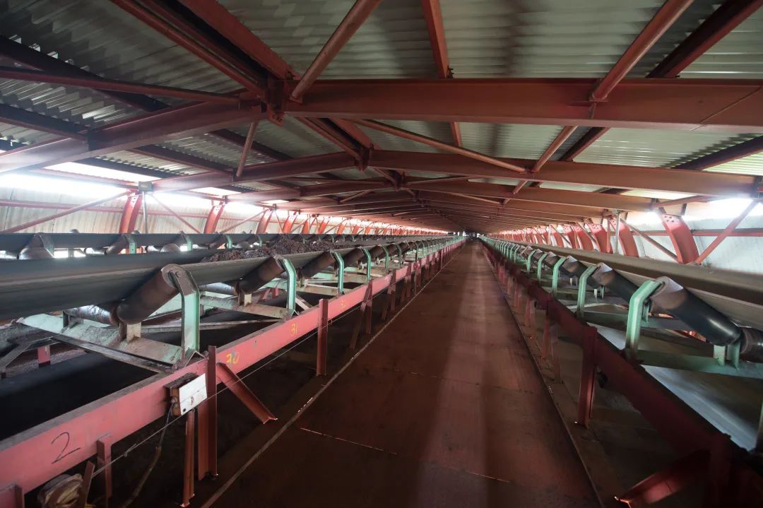 1662608365155891.jpg 06.jpg