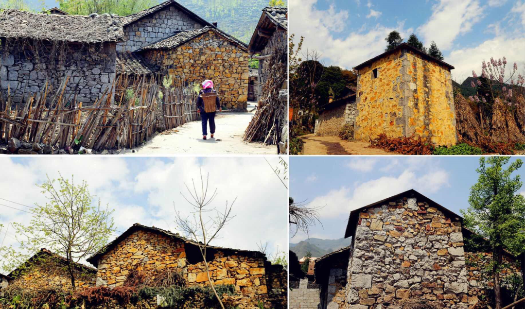 1662706805128192.png 优也8.png