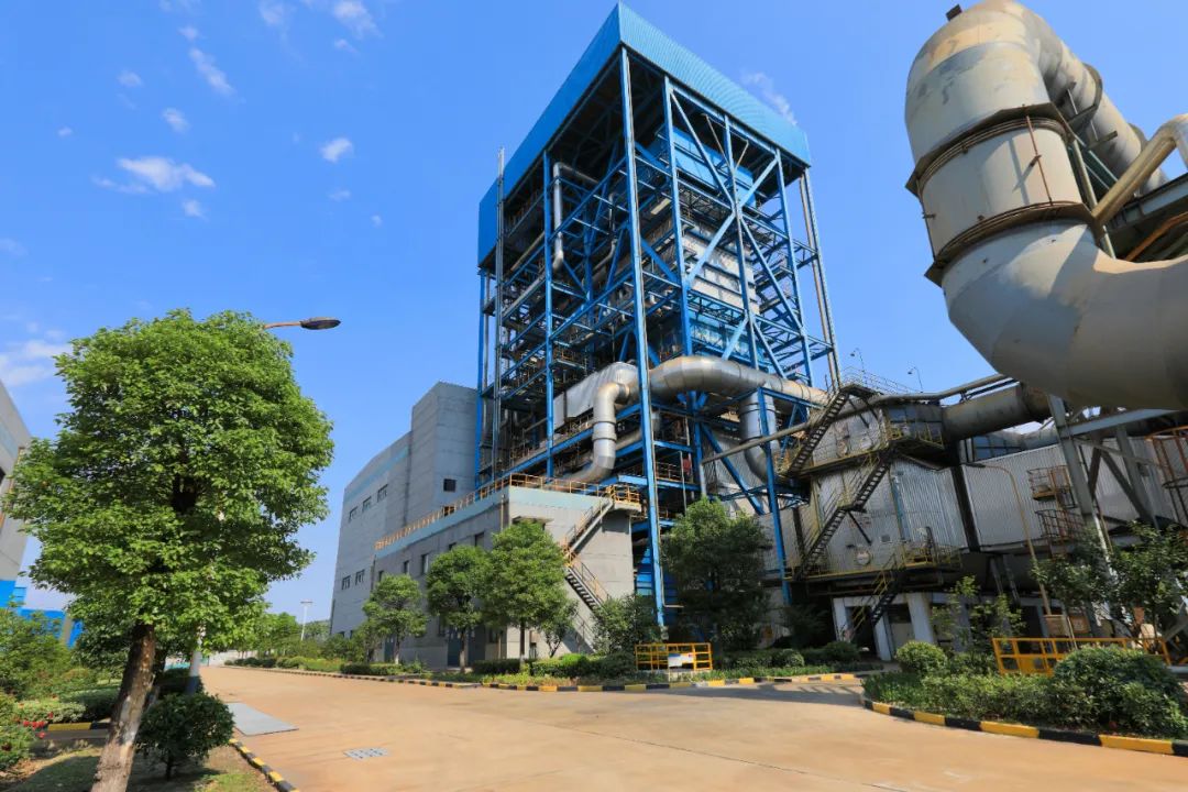 1664437487707020.jpg 02.jpg