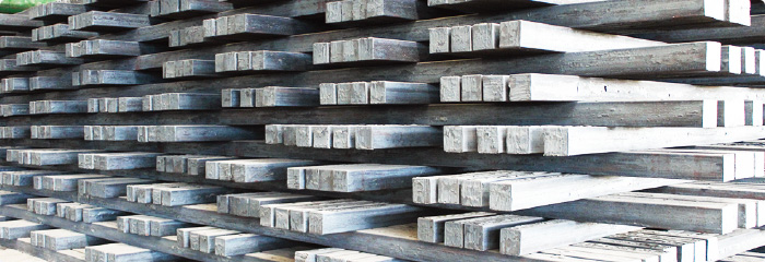 1665121621144648.jpg gangpitop.jpg