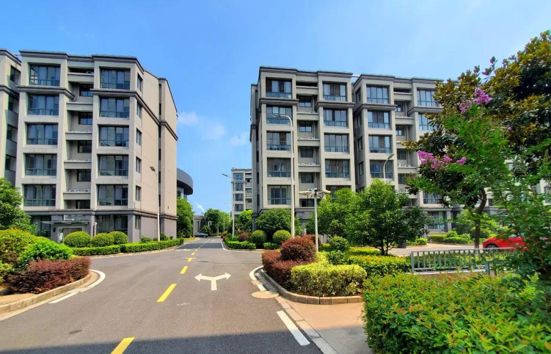 1665220207164599.jpg 15.jpg