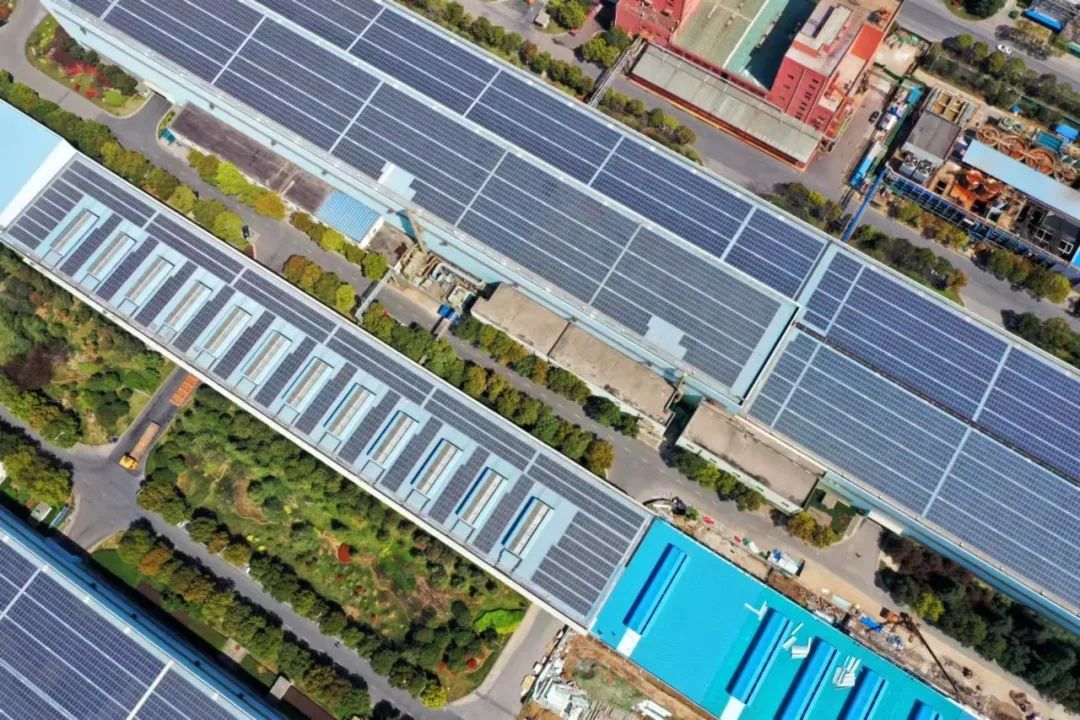 1665455952118260.jpg 06.jpg