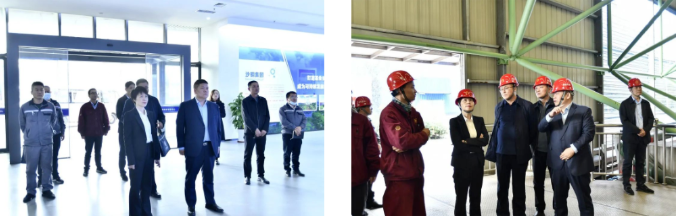 1667263120171838.png 04.png