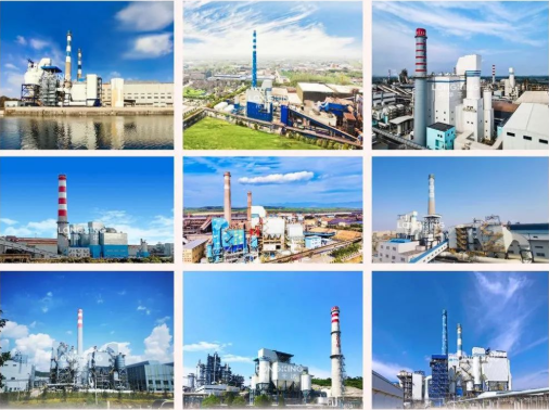 1673333055536829.jpg 龙净.jpg