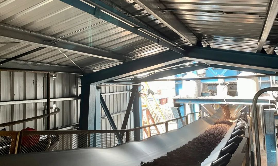 1687745847112527.jpg 17.jpg