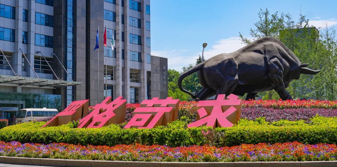 1688005399186919.jpg 264.jpg