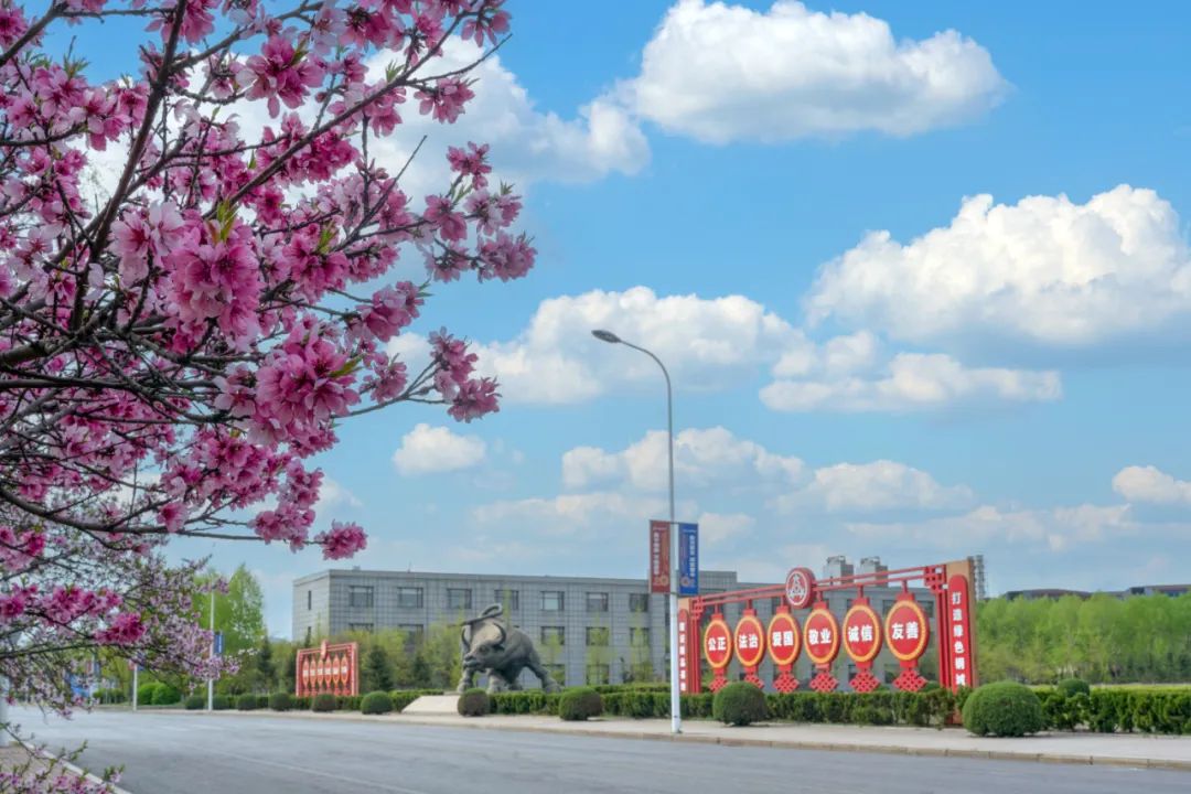 1698716442201679.jpg 46.jpg