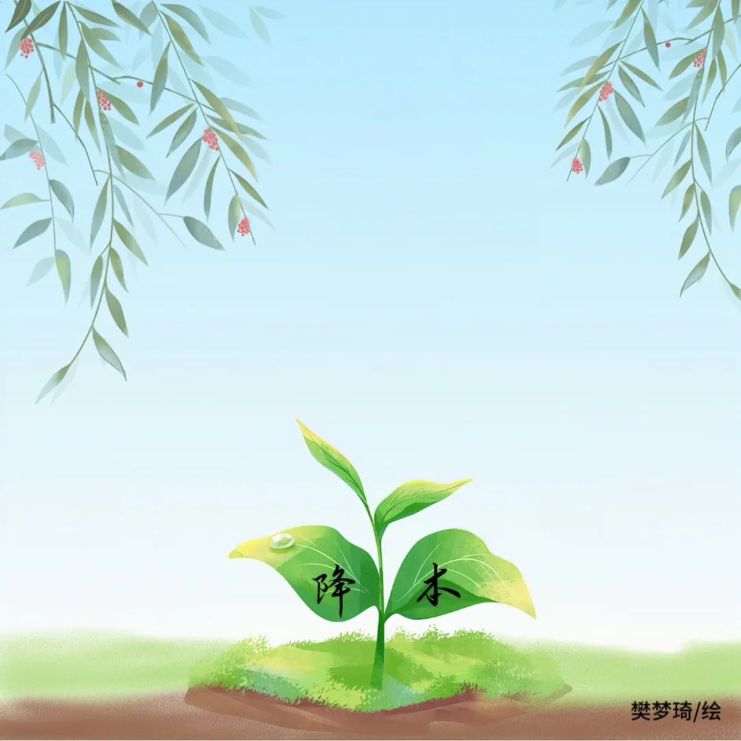 1698719149153219.jpg 7.jpg