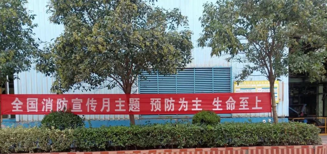 51.jpg