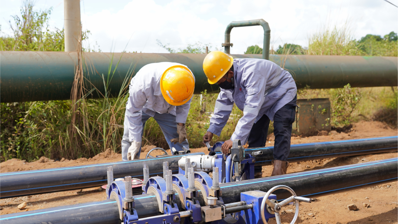 1755589095209939.png 810d98efe5498506db9edc59b6a5c62f.png